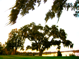 Sea Islands of SC and GA.jpg
