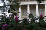 savannah ga walking tour