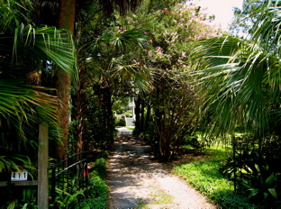 pringle driveway .jpg