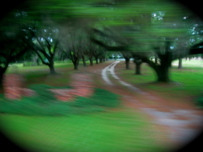 Yemassee SC tree lined driveway blurry .jpg